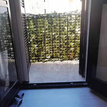 Newhouse Crispi 78 * בארי